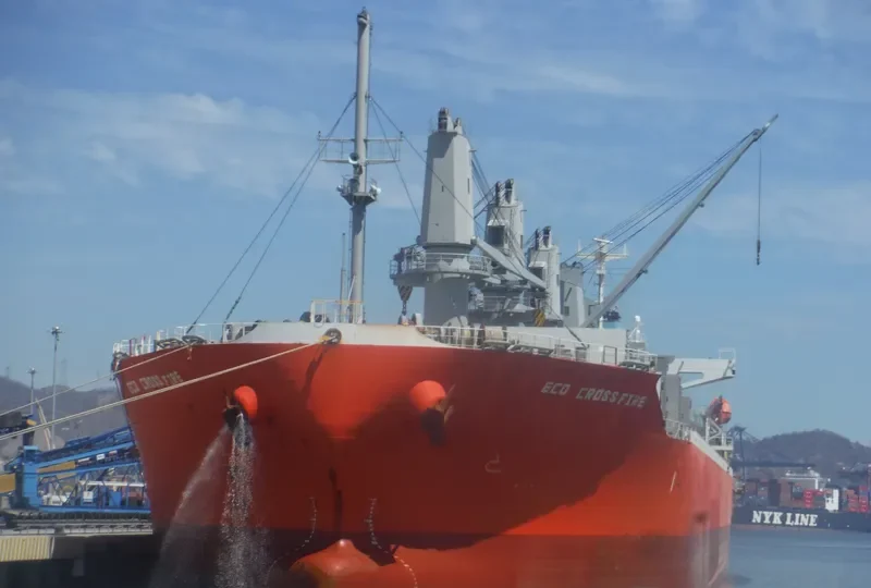 GLORIEUSE Bulk Carrier IMO 9646429 photo 2