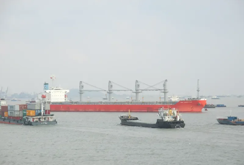 GLORIEUSE Bulk Carrier IMO 9646429 photo 5