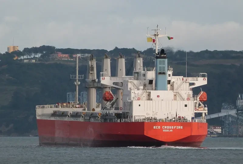 GLORIEUSE Bulk Carrier IMO 9646429 photo 7