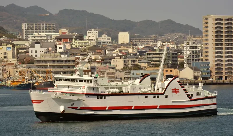 TSUBAKI Ro-Ro IMO 9646443 photo 2