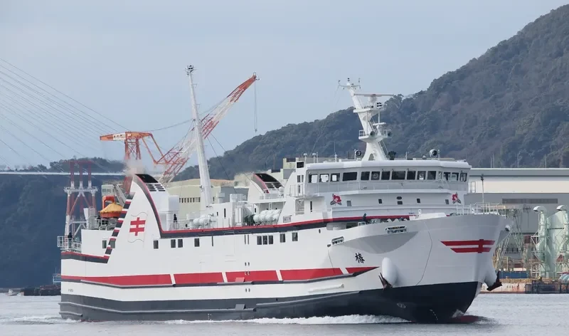 TSUBAKI Ro-Ro IMO 9646443 photo 10