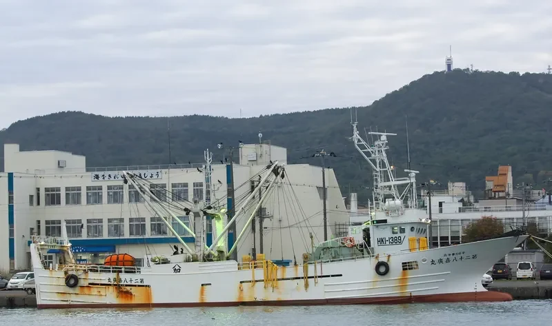 YOSHIHIRO MARU NO.28 General Cargo IMO 9646508