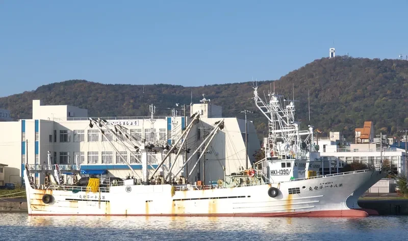 HEIAN MARU NO.81 General Cargo IMO 9646510