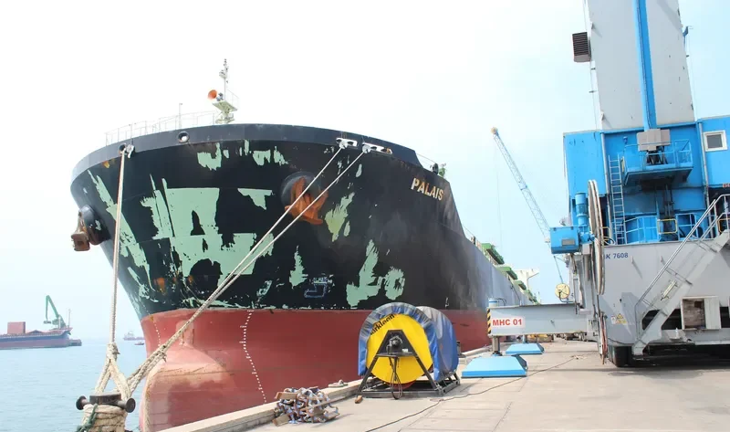 PALAIS Bulk Carrier IMO 9646649