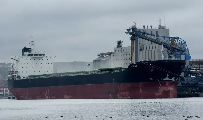 PALAIS Bulk Carrier IMO 9646649 photo 3