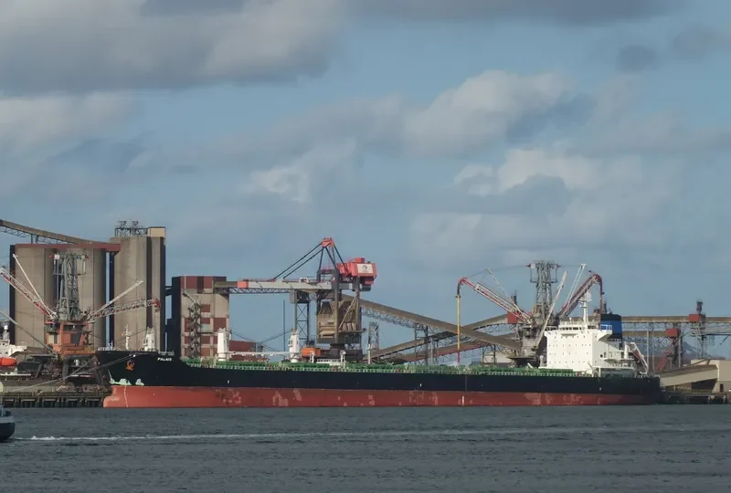 PALAIS Bulk Carrier IMO 9646649 photo 4