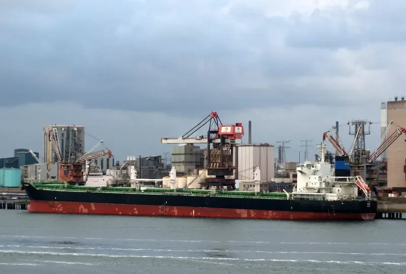 PALAIS Bulk Carrier IMO 9646649 photo 5