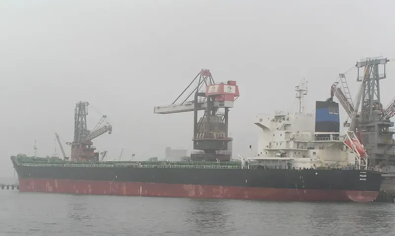 PALAIS Bulk Carrier IMO 9646649 photo 6