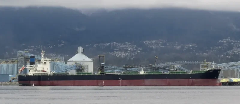 PALAIS Bulk Carrier IMO 9646649 photo 7