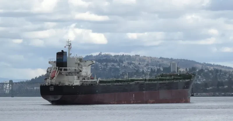PALAIS Bulk Carrier IMO 9646649 photo 8