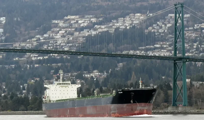 PALAIS Bulk Carrier IMO 9646649 photo 9