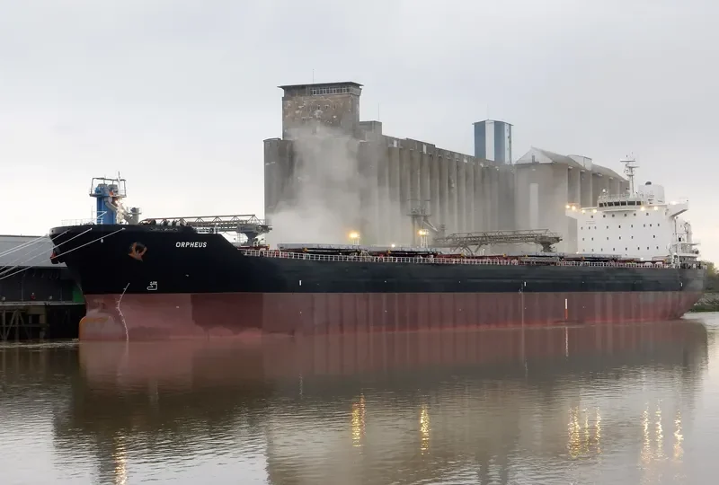 ORPHEUS Bulk Carrier IMO 9646675