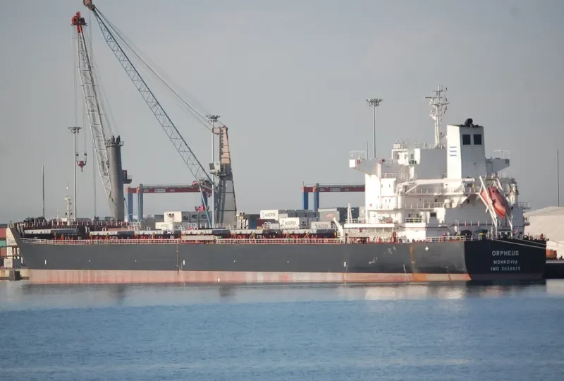 ORPHEUS Bulk Carrier IMO 9646675 photo 3