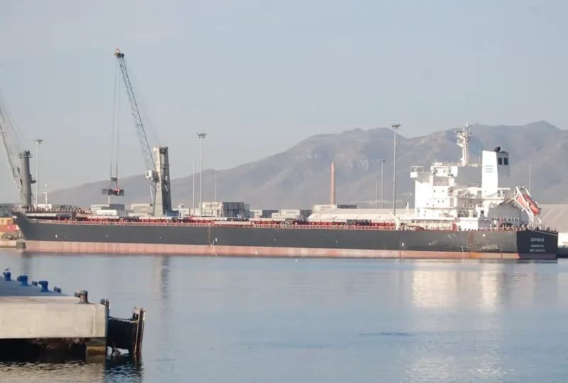 ORPHEUS Bulk Carrier IMO 9646675 photo 4