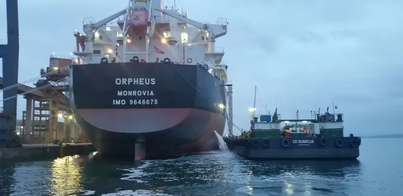 ORPHEUS Bulk Carrier IMO 9646675 photo 5