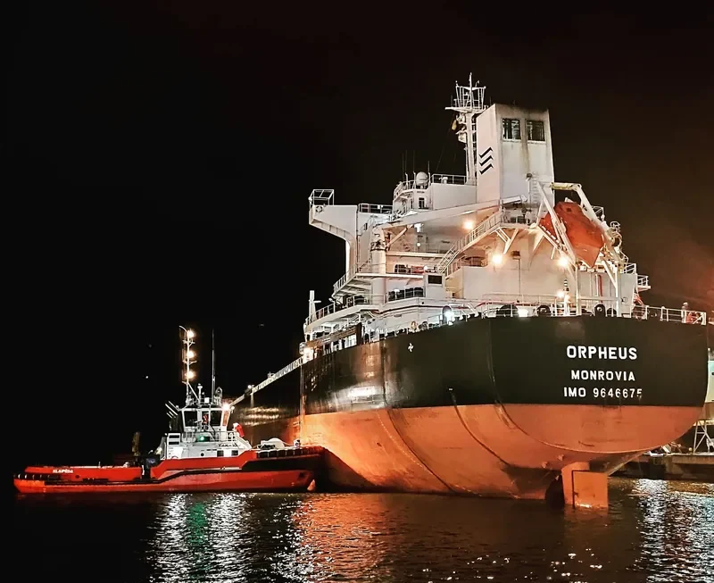 ORPHEUS Bulk Carrier IMO 9646675 photo 6