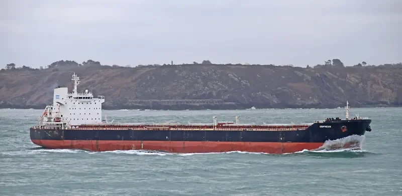 ORPHEUS Bulk Carrier IMO 9646675 photo 9