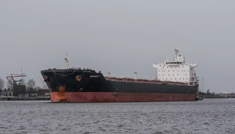 ORPHEUS Bulk Carrier IMO 9646675 photo 10