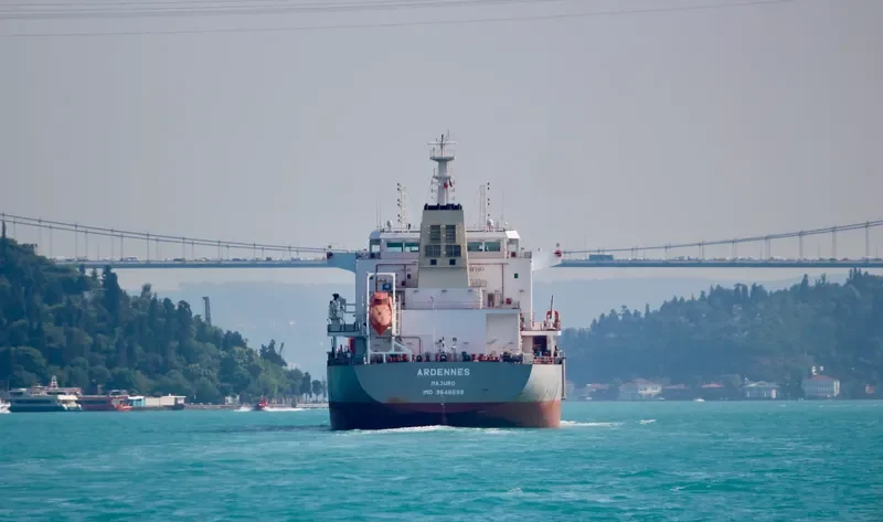 ARDENNES Bulk Carrier IMO 9646699 photo 4
