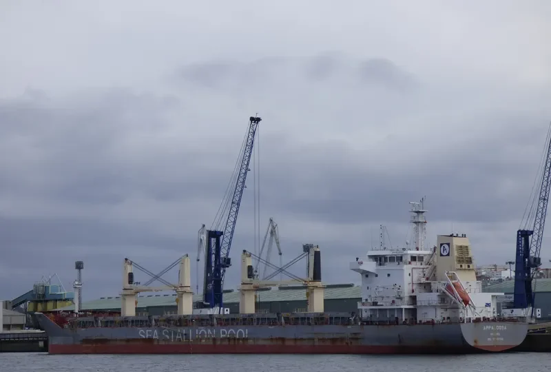 APPALOOSA Bulk Carrier IMO 9646704