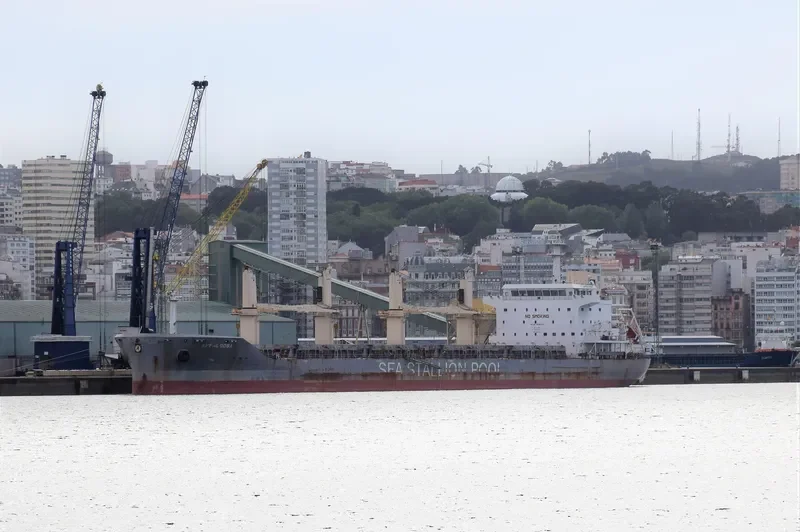 APPALOOSA Bulk Carrier IMO 9646704 photo 2