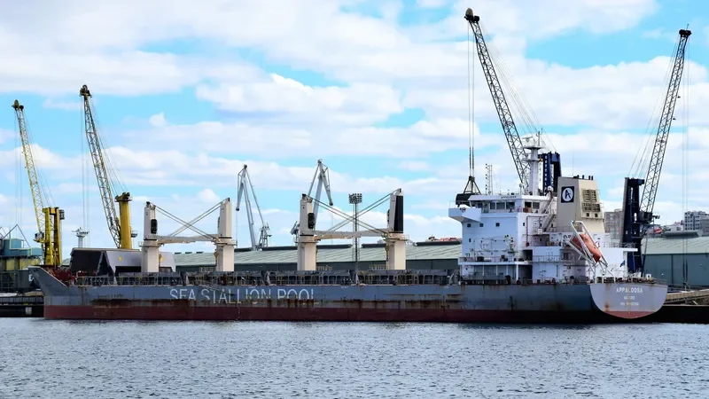 APPALOOSA Bulk Carrier IMO 9646704 photo 3