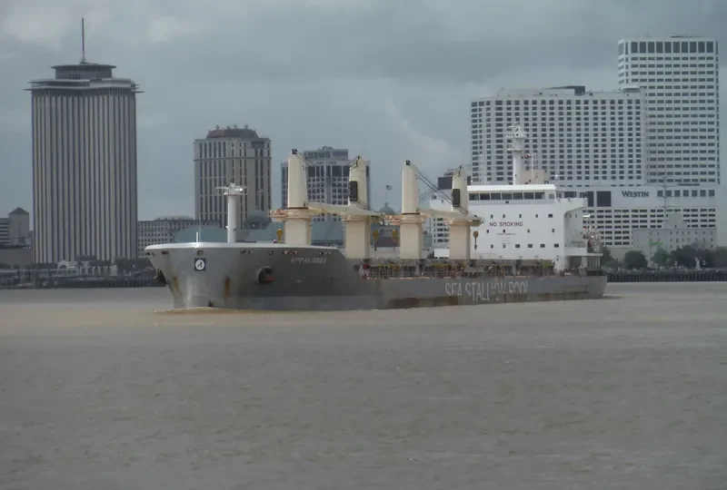 APPALOOSA Bulk Carrier IMO 9646704 photo 4