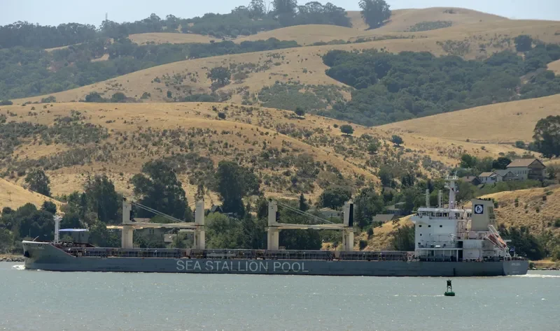 APPALOOSA Bulk Carrier IMO 9646704 photo 7