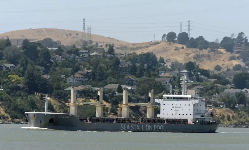 APPALOOSA Bulk Carrier IMO 9646704 photo 8