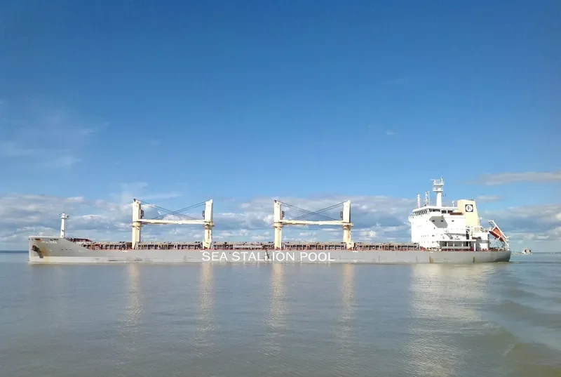 APPALOOSA Bulk Carrier IMO 9646704 photo 9