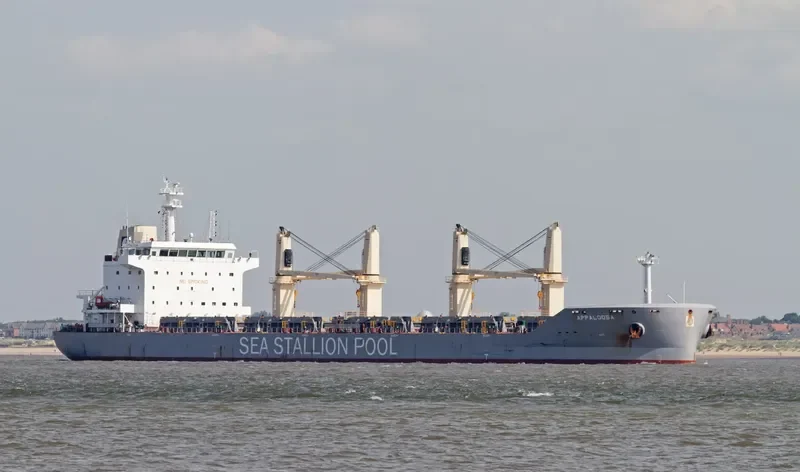 APPALOOSA Bulk Carrier IMO 9646704 photo 10