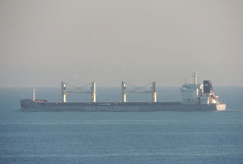 AMORGOS BOLTEN Bulk Carrier IMO 9646716 photo 2