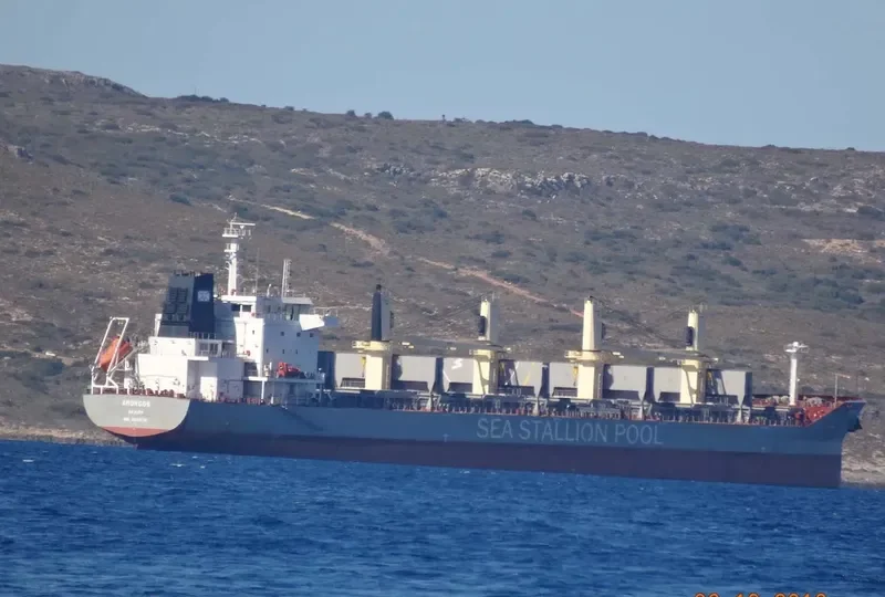 AMORGOS BOLTEN Bulk Carrier IMO 9646716 photo 3