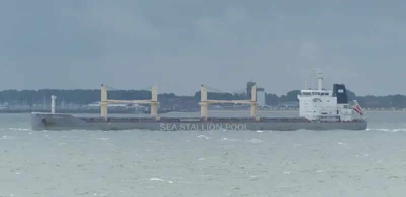 AMORGOS BOLTEN Bulk Carrier IMO 9646716 photo 4