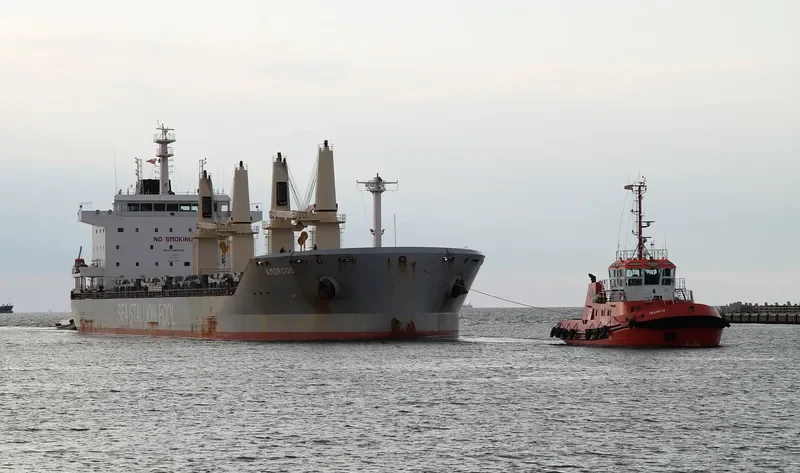 AMORGOS BOLTEN Bulk Carrier IMO 9646716 photo 7