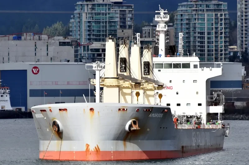 AMORGOS BOLTEN Bulk Carrier IMO 9646716 photo 9