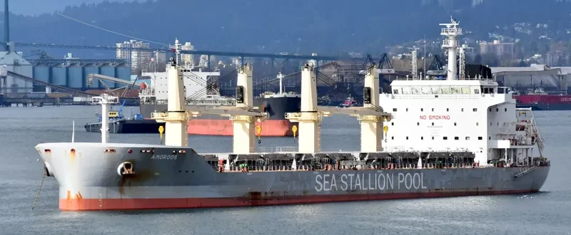 AMORGOS BOLTEN Bulk Carrier IMO 9646716 photo 10