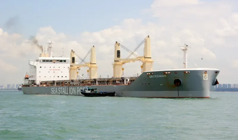 ABYSSINIAN Bulk Carrier IMO 9646728 photo 3