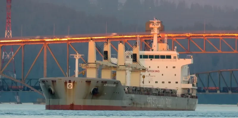 ABYSSINIAN Bulk Carrier IMO 9646728 photo 7
