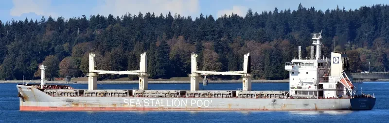 ABYSSINIAN Bulk Carrier IMO 9646728 photo 8