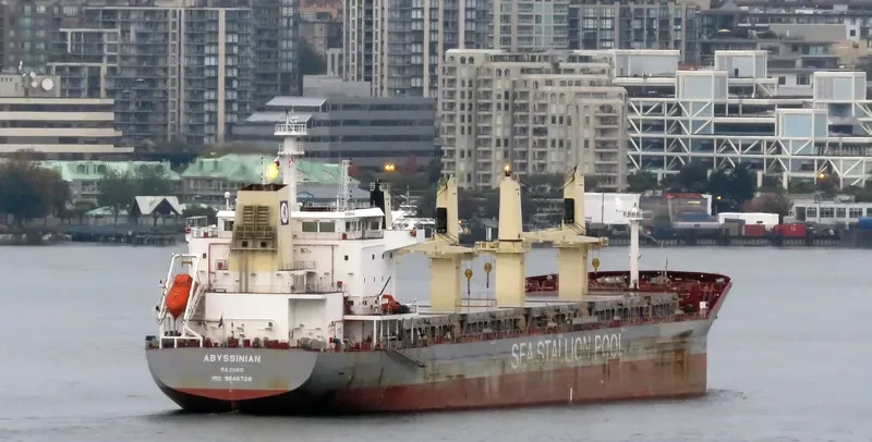 ABYSSINIAN Bulk Carrier IMO 9646728 photo 9
