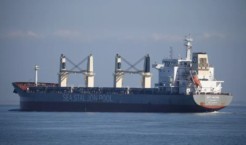 ASTURCON Bulk Carrier IMO 9646730