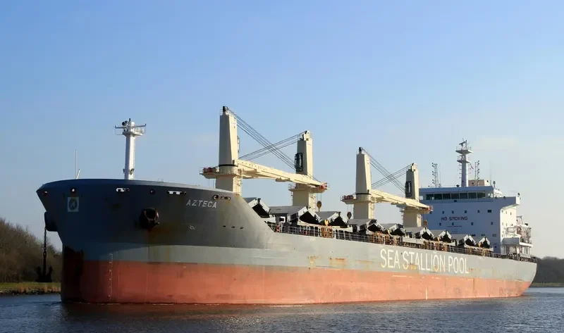 AZTECA Bulk Carrier IMO 9646742 photo 9