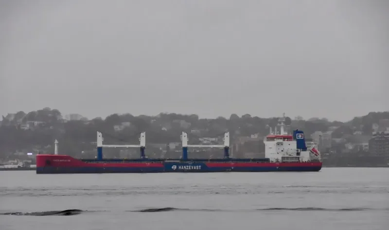 HANZE GOTEBORG Bulk Carrier IMO 9646780