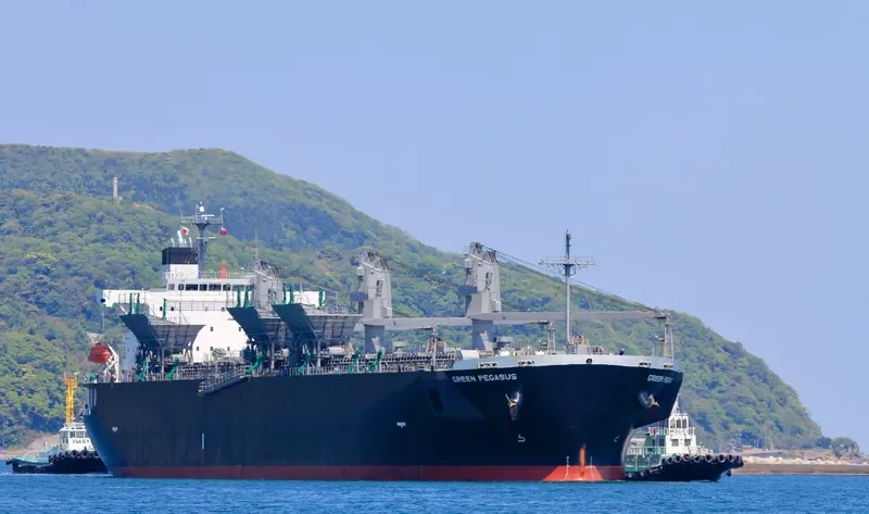 GREEN PEGASUS Bulk Carrier IMO 9646869
