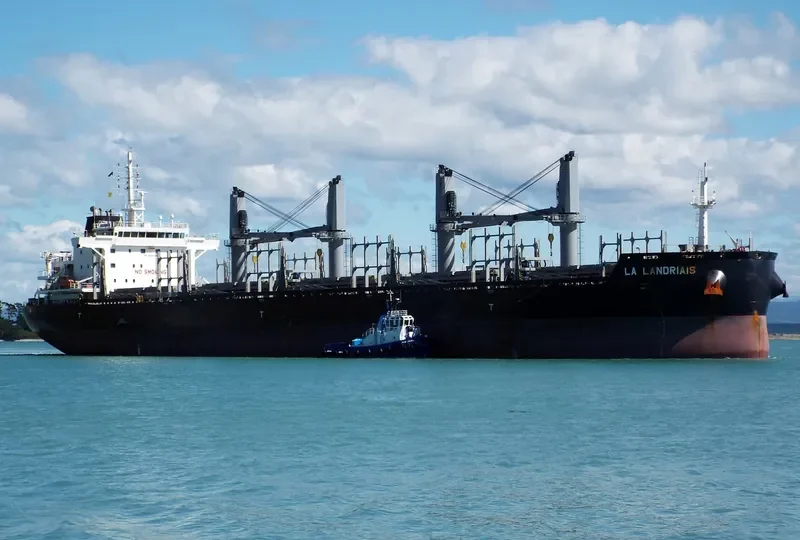 LA LANDRIAIS Bulk Carrier IMO 9646895 photo 7
