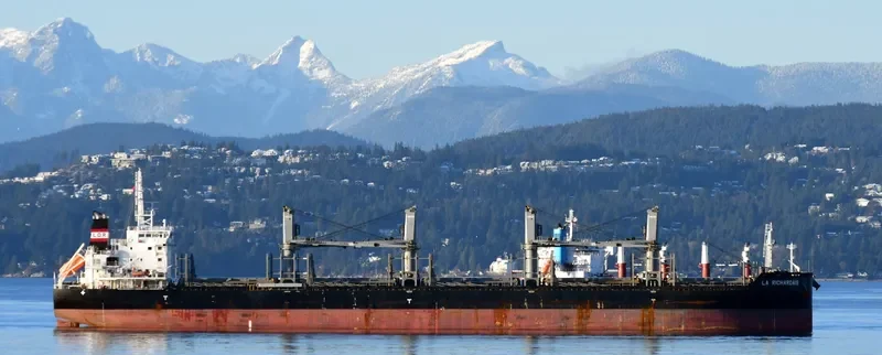 LA RICHARDAIS Bulk Carrier IMO 9646900 photo 2