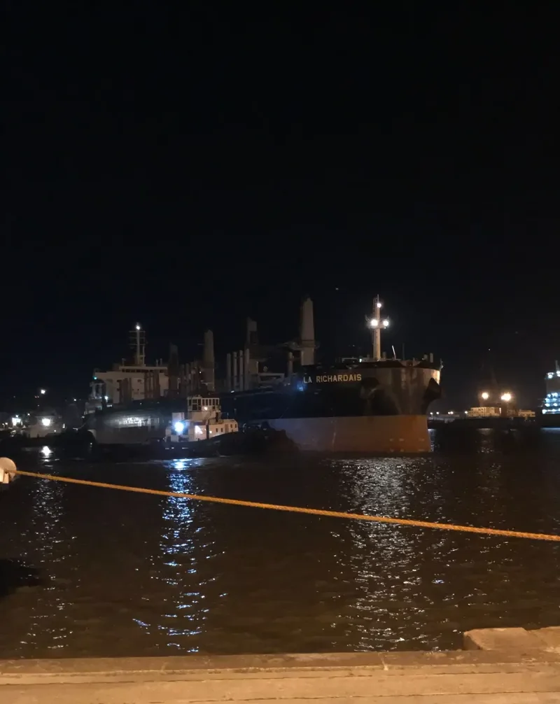 LA RICHARDAIS Bulk Carrier IMO 9646900 photo 8