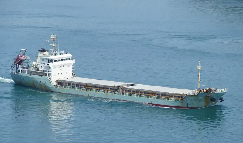 XING YANG 7 Bulk Carrier IMO 9647174