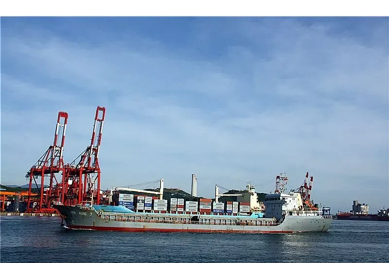 XING YANG 7 Bulk Carrier IMO 9647174 photo 10